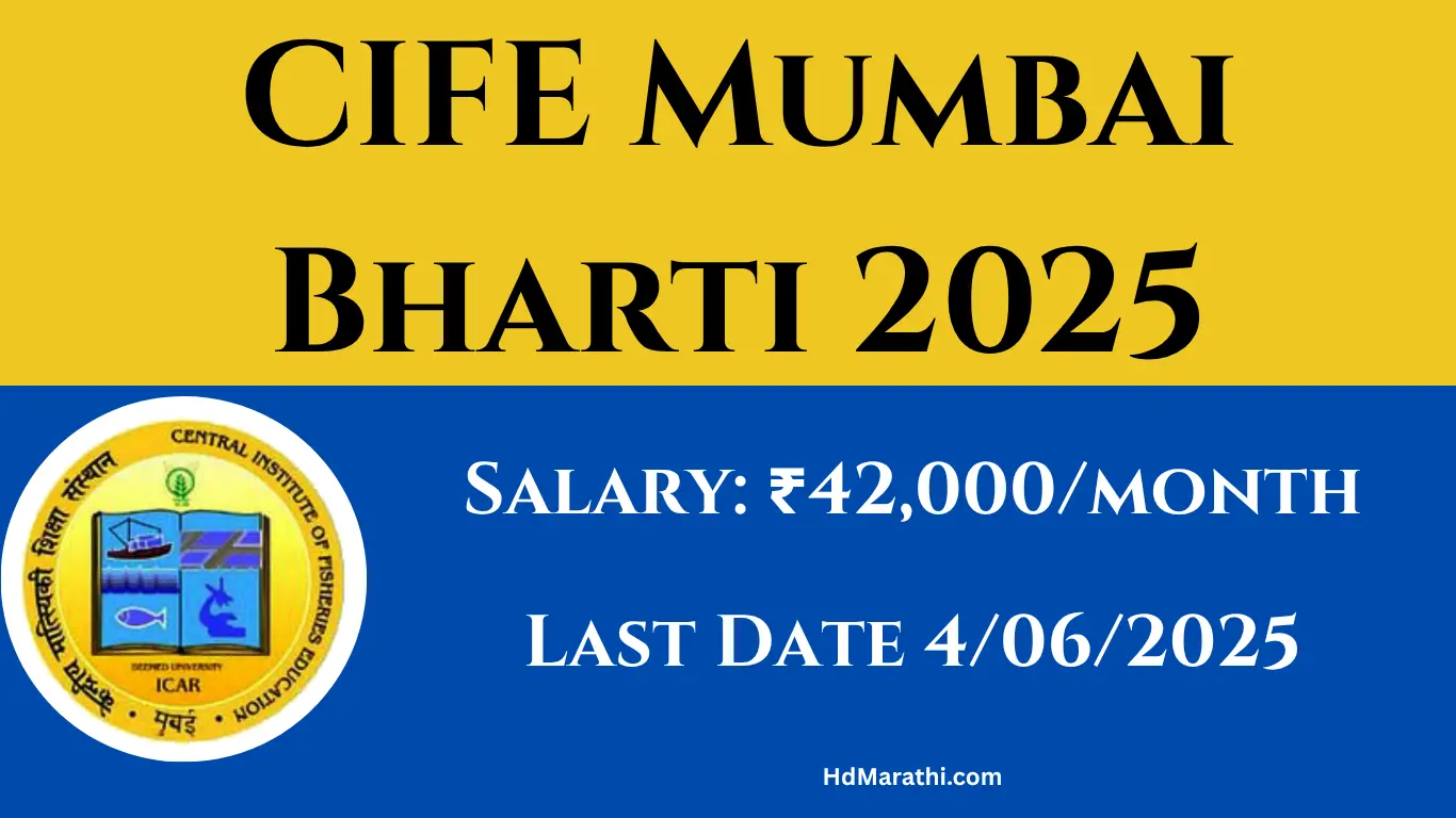 CIFE Mumbai Bharti 2025